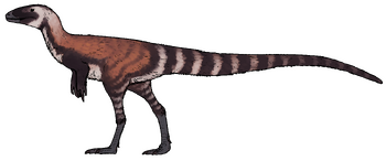 Huadanosaurus sinensis.png