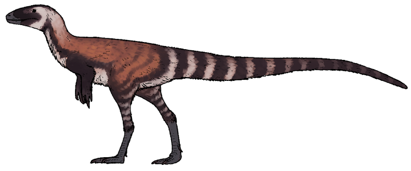 Plik:Huadanosaurus sinensis.png