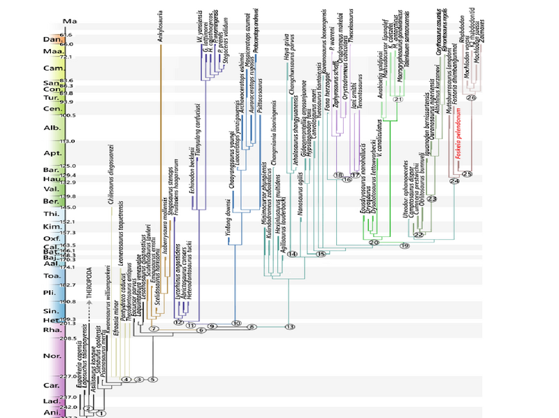 Plik:Rhabdodontidae1 Dieudonne et al 2026.png
