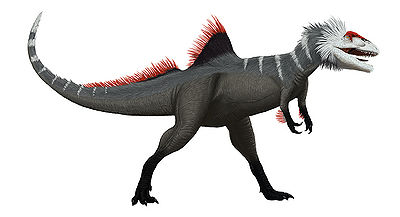 Concavenator Edyta Felcyn.jpg