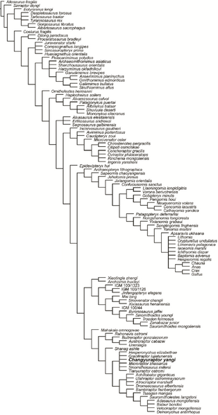 Plik:Han i in. 2014 Changyuraptor.PNG