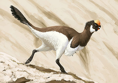 Oviraptor E.Felcyn.jpg
