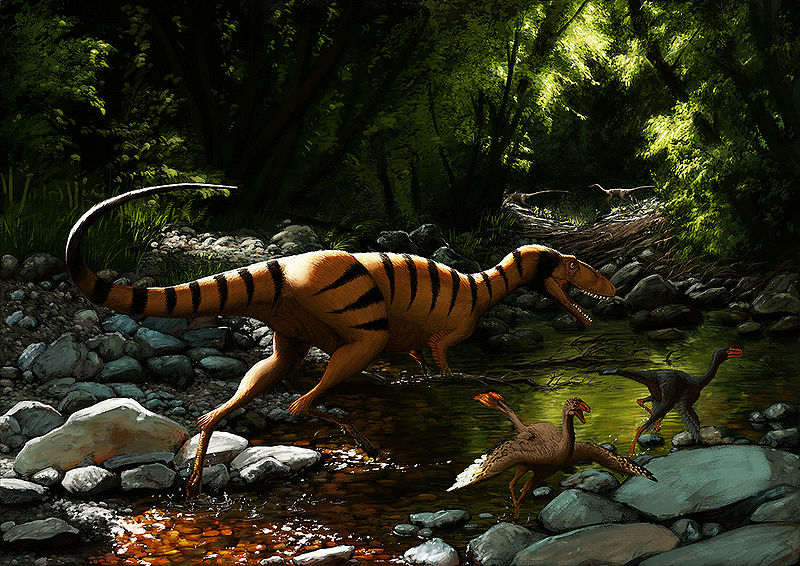 Plik:Raptorex i protarachaeopteryx Edyta Felcyn.jpg