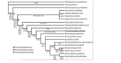 Schott&Evans 2016.png