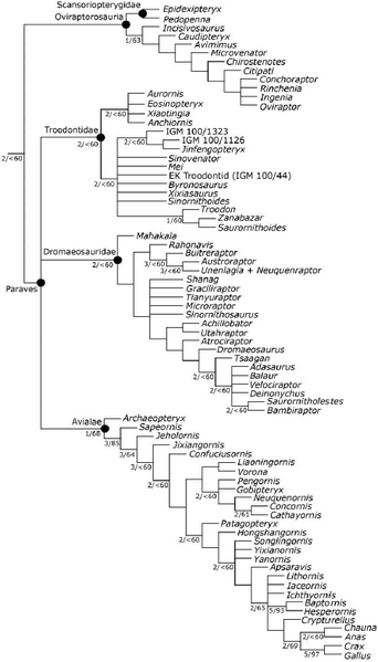 Plik:Brusatte i in. 2014 Evolution Rates 2.PNG