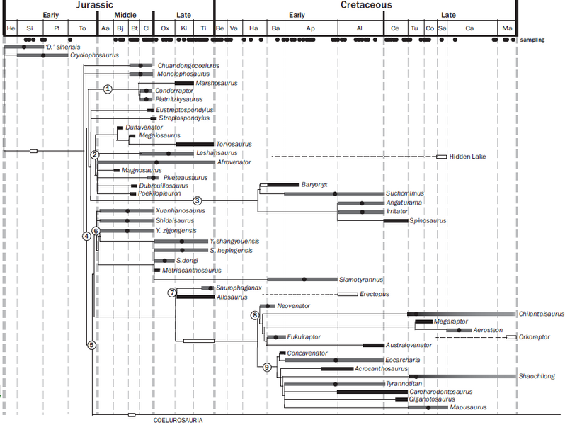 Plik:Carrano et al 2012 Tetanurae time.PNG