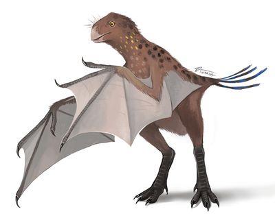 Yi qi by twarda8.jpg