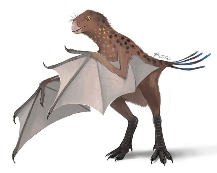 Plik:Yi qi by twarda8.jpg