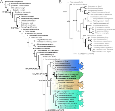 Hadrosauridae Rozadilla et al 2022.png