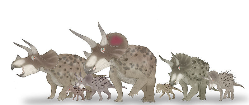 Triceratops stado, Laelaps nipponensis.jpg