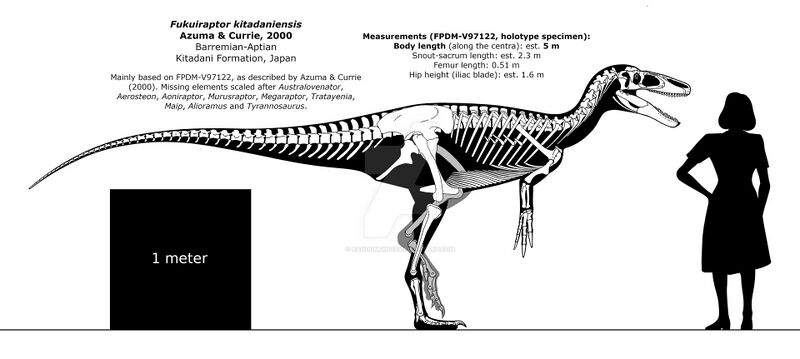Plik:Fukuiraptor skeletal by randomdinos.jpg