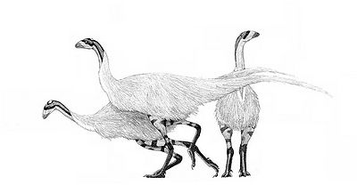 Limusaurus by pilsator.jpg