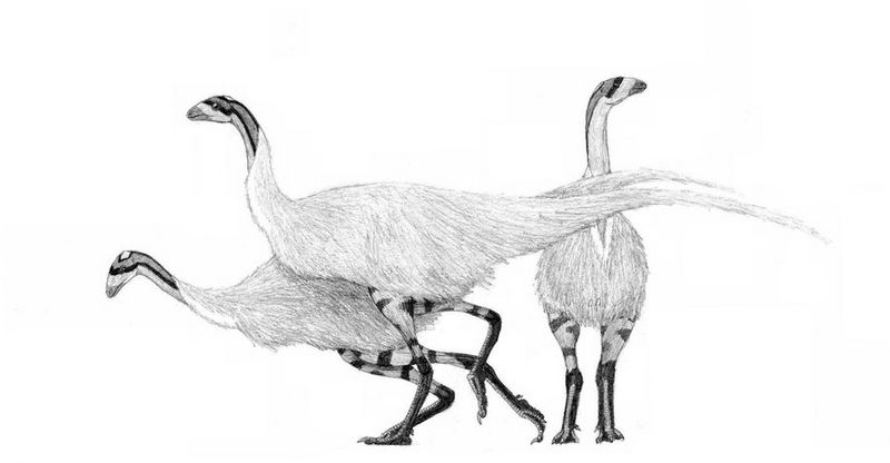 Plik:Limusaurus by pilsator.jpg