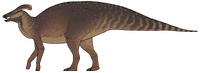 Plesiolophus warnerensis.png