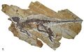 Miniatura wersji z 10:34, 29 mar 2026