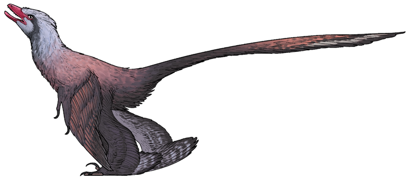 Plik:Changzhousaurus sinensis.png