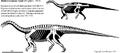 Melanorosaurus Scott Hartman.PNG