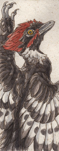 Plik:Anchiornis-bookmark-by teriathanin.jpg