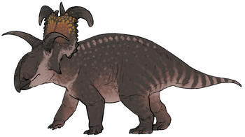 Lokiceratops rangiformis.png