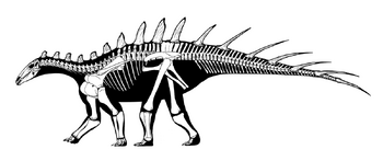 Dacentrurus armatus skeleton.png