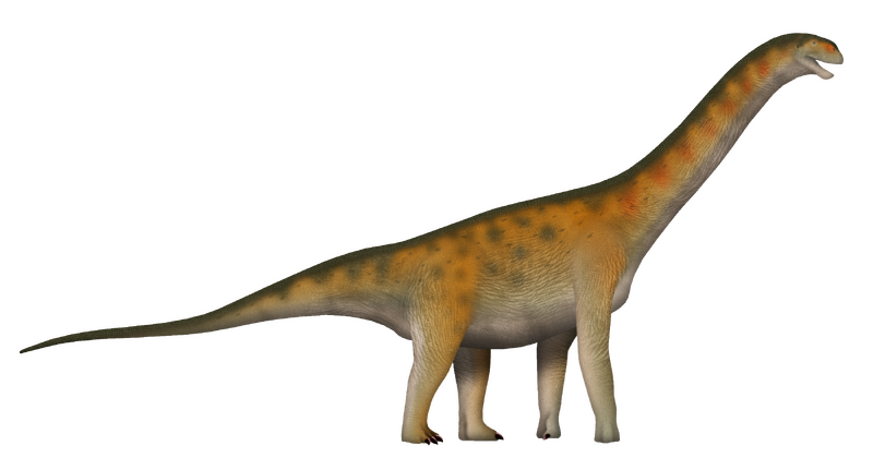 Plik:Yantaloong TD.png