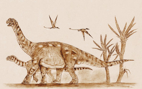 Camarasaurus by Kahless28.jpg