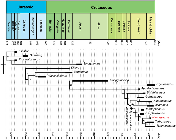 Fiorillo i Tykoski 2014 Nanuqsaurus Brusatte.png