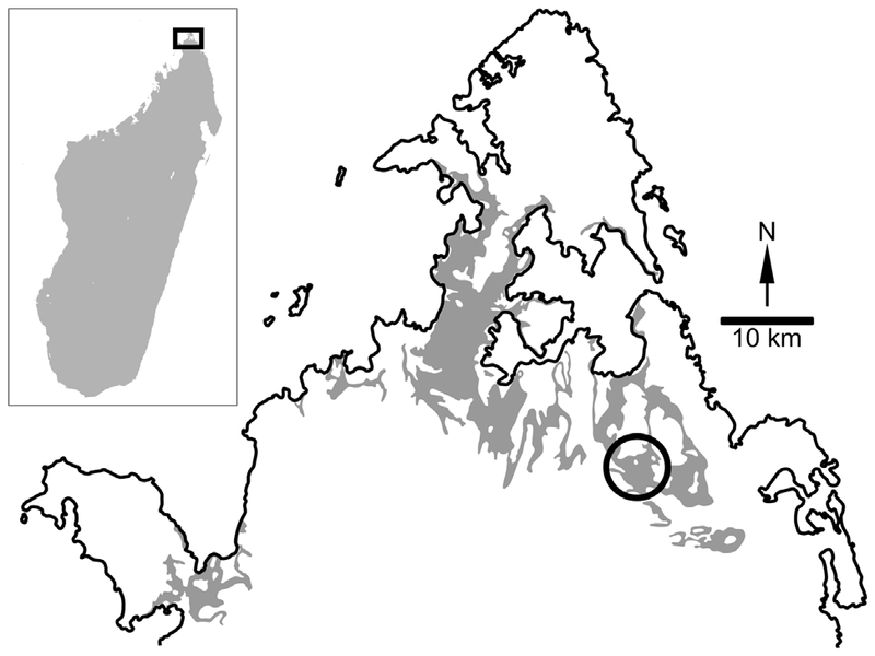 Plik:Map of Dahalokely.png
