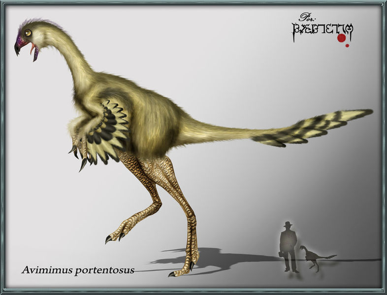 Plik:Avimimus by karkemish00.jpg