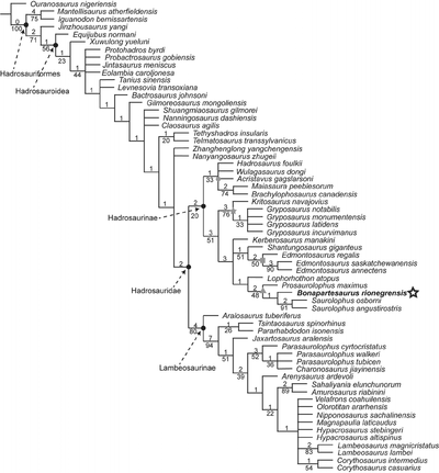 Hadrosauridae Cruzado-Caballero et al 2016.png