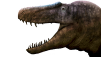 Daspletosaurus wilsoni profile.png