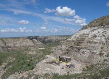 Wendiceratops pinhornensis holotype quarry.jpg