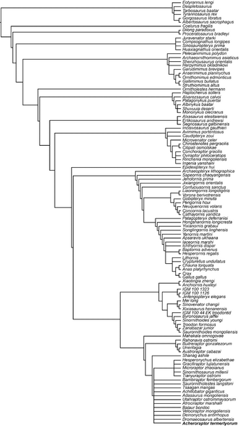 Plik:Evans i in. 2013 Acheroraptor (Turner i in 2012).PNG