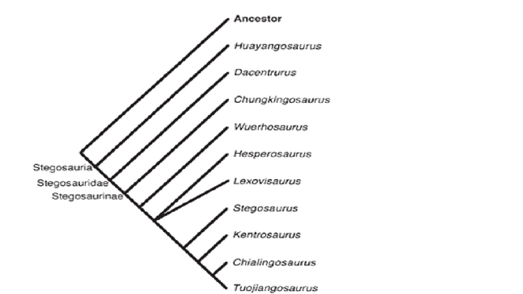 Galton&Upchurch 2004.png