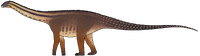 Cienciargentina sanchezi.png