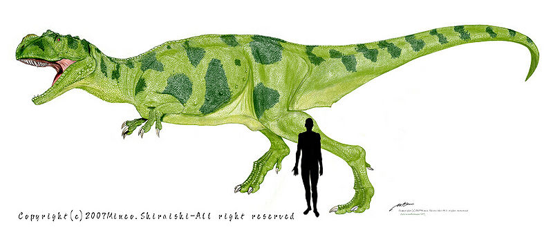 Plik:Metriacanthosaurus2.jpg