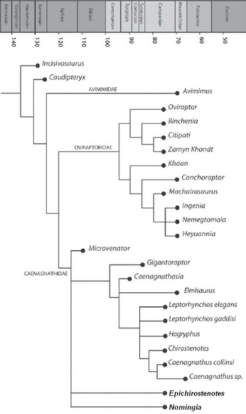 Plik:Longrich i in. 2013 Leptorhynchos.PNG