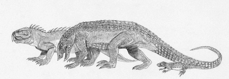 Plik:Lossiemouth herbivores by Kahless28.jpg