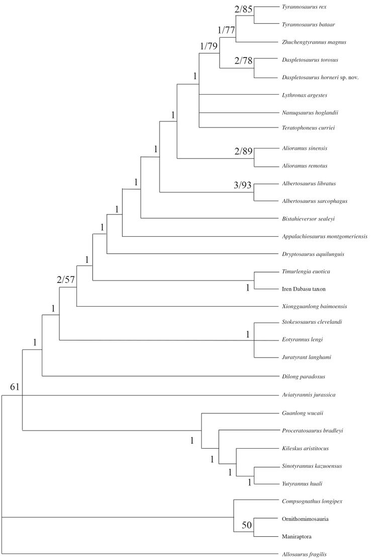 Carr et all 2017 phylogeny.jpg