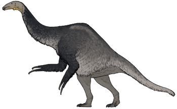 Duonychus tsogtbaatari.png