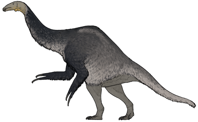 Plik:Duonychus tsogtbaatari.png