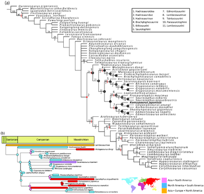 Hadrosauridae Kobayashi et al 2019.png