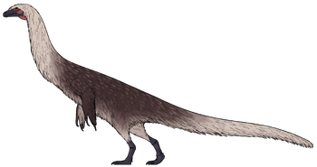 Falcarius suarezarum.png