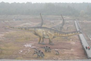 A. fragillimus Krasiejów.jpg