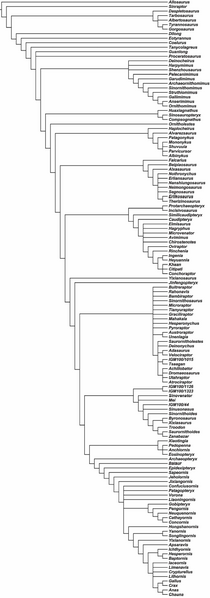 Plik:Foth i in. 2014 Archaeopteryx strict.PNG