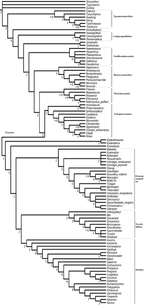 Plik:Godefroit i in. 2013 Aurornis.PNG