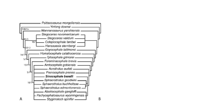 Evans et all 2021.png