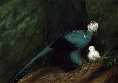 Microraptor.jpg