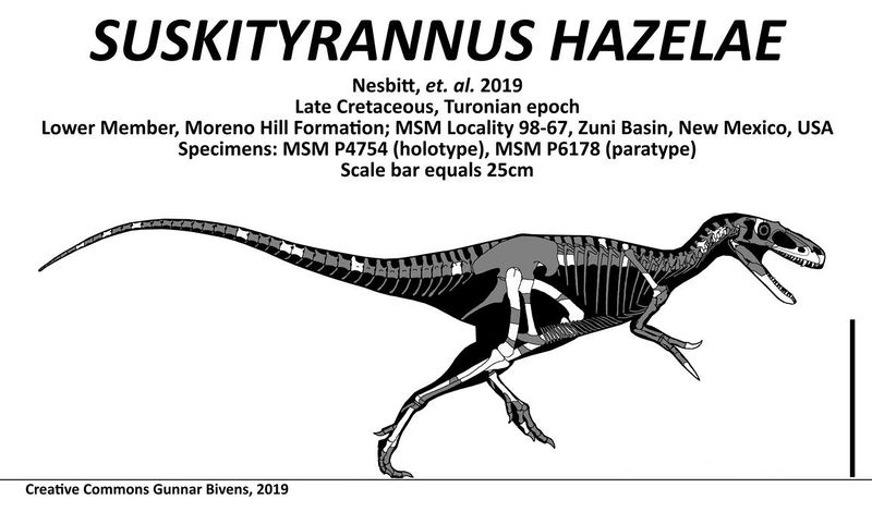Plik:Suskityrannus hazelae skeletal by bricksmashtv.jpg