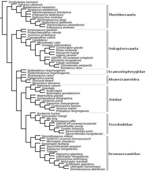 Plik:Agnolin i Novas, 2011.jpg